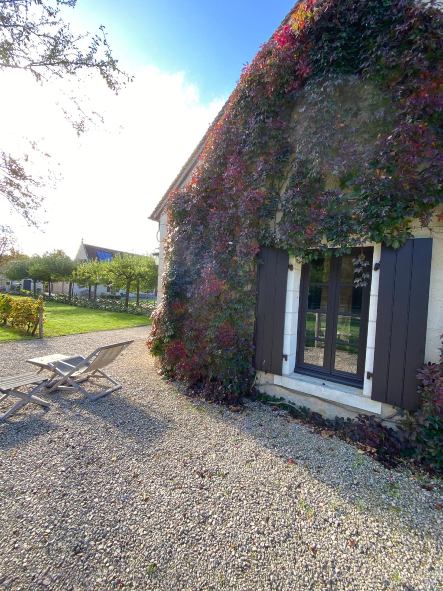 Domaine De Poulaines Pres Valencay Val De Loire Berry Villa Екстериор снимка